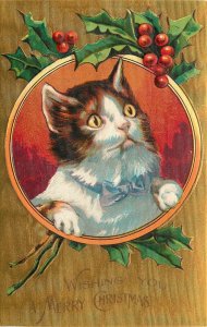 Embossed Christmas Postcard Xmas Cats Tabb Cat Looks Wistful in Vignette