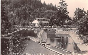 Fish Hatchery - Bonneville, Oregon