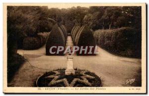 Old Postcard Lucon garden plants