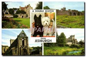 Modern Postcard Jedburgh A Double Scotch Dog Dogs