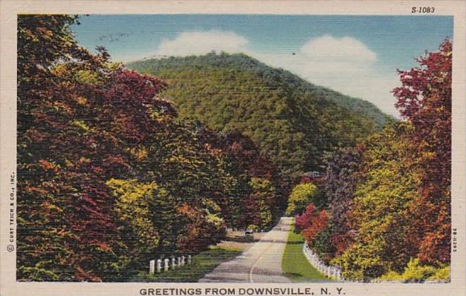 New York Greetings From Downsville 1956 Curteich