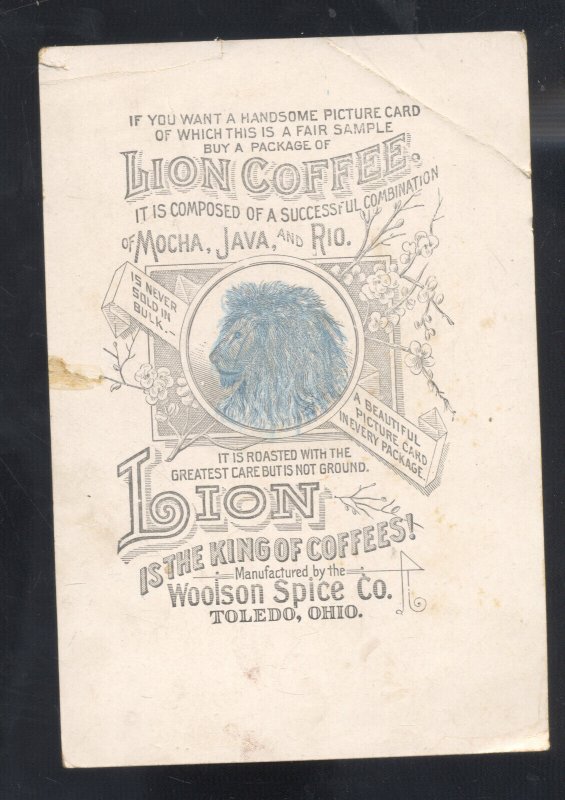 TOLEDO OHIO WOOLSON SPICE COMPANY LION COFFEE SEASCAPE VICTORIAN TRADE CARD