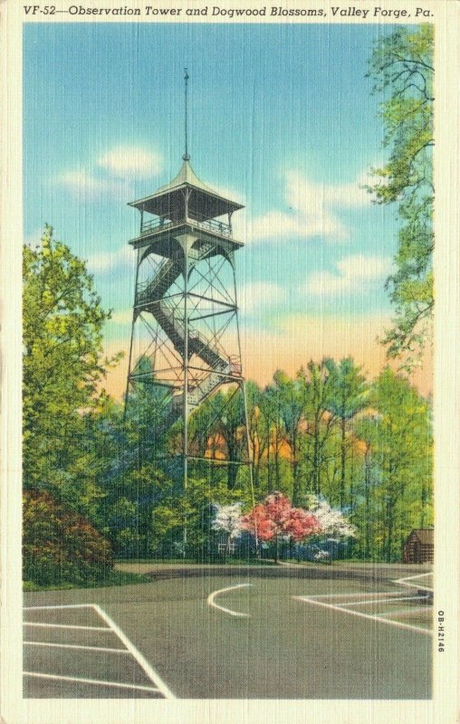 USA Pennsylvania Valley Forge Observation Tower and Dogwood Blossoms 04.29