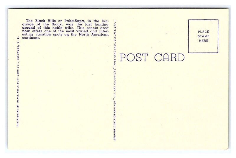 Greetings From The BLACK HILLS South Dakota LARGE Letter Postcard