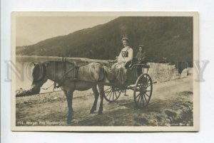 426440 NORWAY Fra Hardanger native girls on carriage Vintage photo postcard