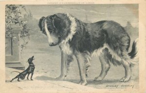 Postcard Animals cute puppies dogs painting Stanley Berkeley