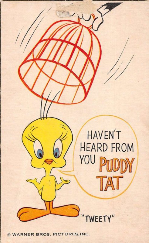 Warner Bros Tweety Bird Greetings Vintage Postcard AA29878