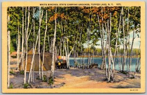 Tupper Lake New York 1940 Postcard White Birches State Camping Grounds