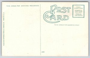 Cincinnati Ohio~Lion & Lioness in Zoo Cage~c1910 Postcard