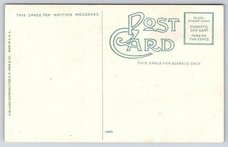 Cincinnati Ohio~Lion & Lioness in Zoo Cage~c1910 Postcard