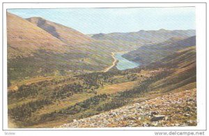 Caribu Grazing Country, Alaska, 40-60s