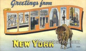 Buffalo NY  USALarge Letter Postcard