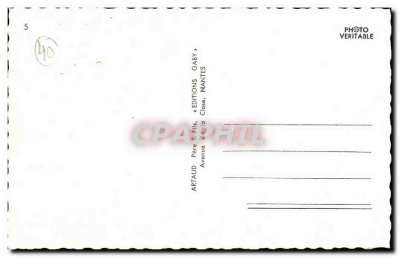 Mimizan Modern Postcard Souvenir Camping