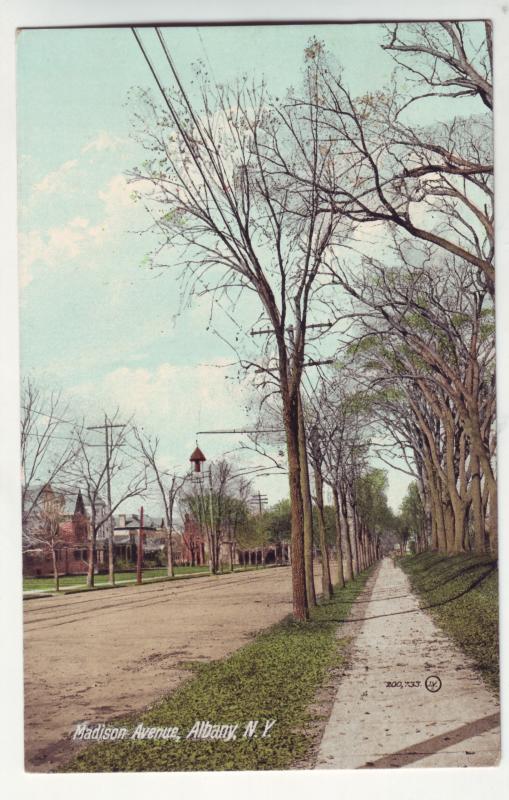 P329 JLs postcard 1908 albany ny madison ave used