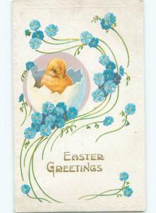 Divided-Back EASTER CHICK SCENE Cute Postcard AA1025