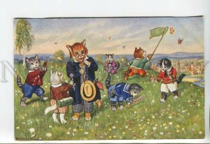 444003 KASKELINE Dressed CAT entomologist Butterfly Vintage postcard