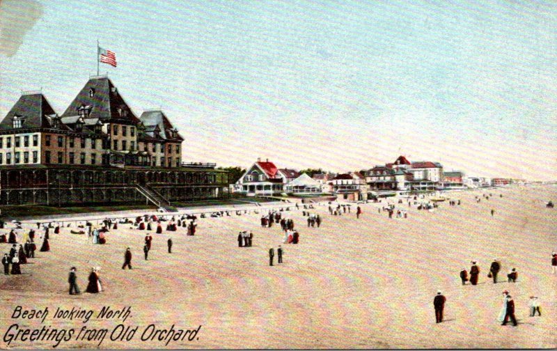 Maine Old Orchard Greetings With Beach Looking North