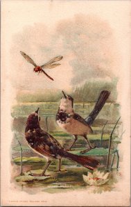 Birds And Dragonfly Advertising Card Manufacture De Chaussures A Vis C005