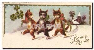 Old Postcard Fantaise Cats (small card) (Cat Cat)