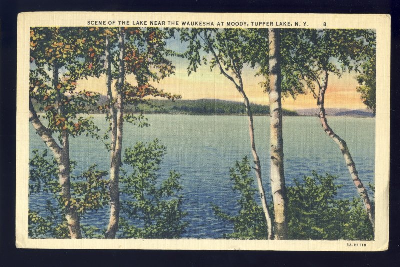 Moody, New York/NY Postcard, Scene Of Tupper Lake Near The Waukesha