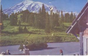 WA. Washington, Mt. Rainier from Paradise Inn Postcard