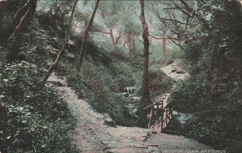 ECCLESBOURNE GLEN, HASTINGS, Sussex - Vintage POSTCARD