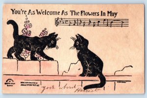 Wheeling WV Postcard Black Cat Kittens You're Welcome As The Flowers In May