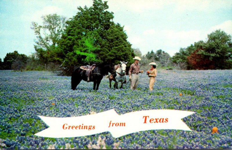 Texas Greetings With Field Of Bluebonnets Texas State Flower