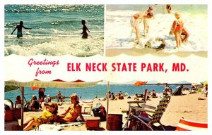 Postcard BEACH SCENE Elk Neck State Park Maryland MD AT9910