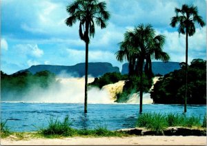 CONTINENTAL SIZE POSTCARD SALTO HACHA CON AUYANTEPUY CANAIMA VENEZUELA