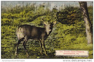 Pennsylvania Schnecksville Deer At Colonel Trexler Game Preserve