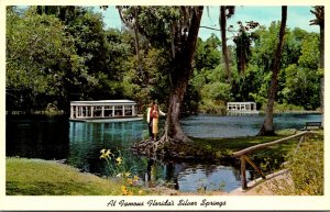 Florida Silver Springs Glass Bottom Boats On Silver River