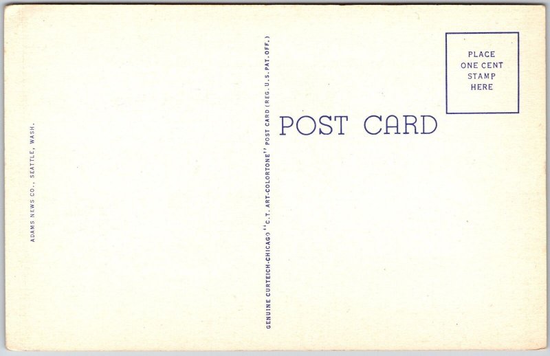 A Band Of Elk In The High Olympics Washington Mountain Attractions Postcard