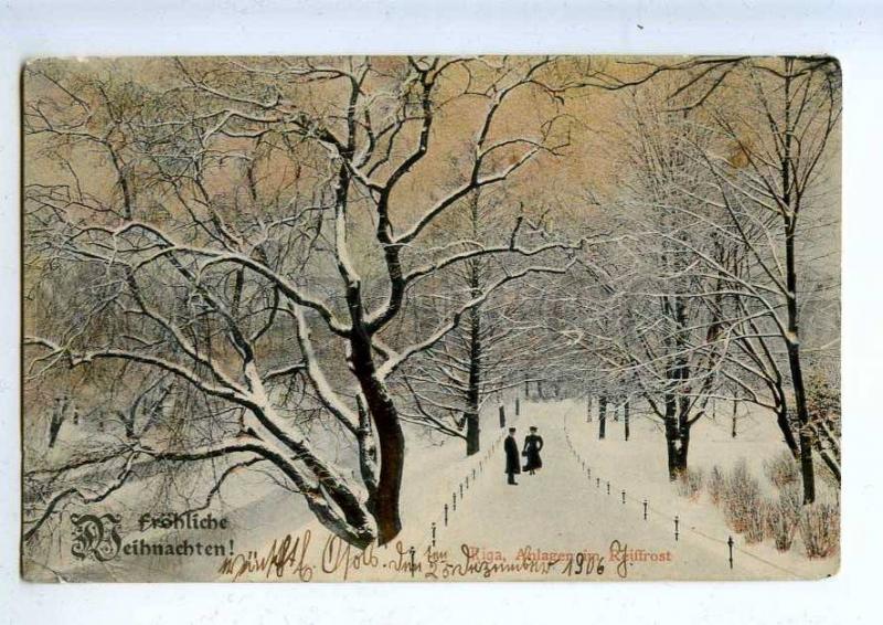 203375 LATVIA RIGA Plants in winter frost Vintage postcard