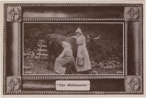 The Milkmaids Milking A Cow Farming Real Photo Old Postcard