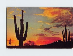 Postcard A Desert Sunset, the West
