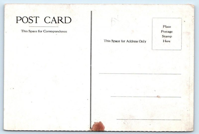 NAGOYA Castle JAPAN Postcard