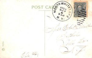 Fowl and Guns Still Life 1906 