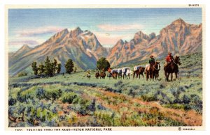 Postcard WY The Teton National Park - Trailing Thru the Sage riders on horseback