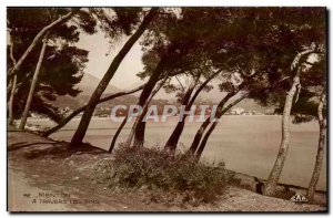 Menton - A Travers les Pins - Old Postcard