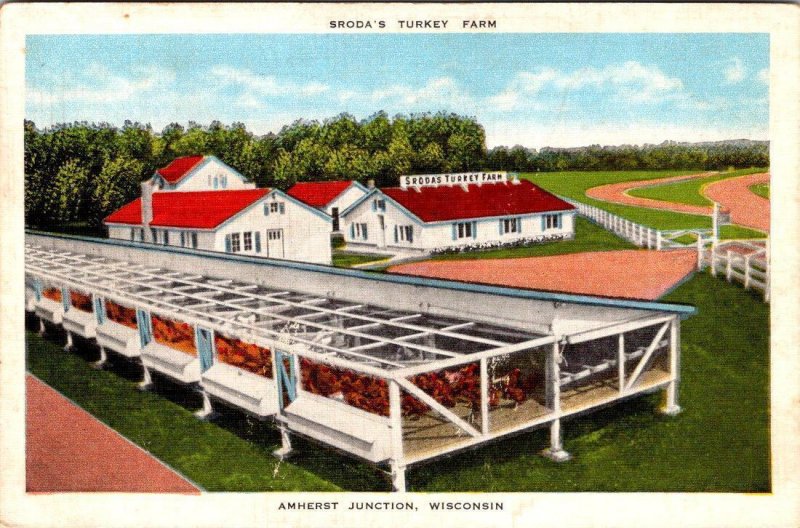 Amherst Junction, WI Wisconsin SRODA'S TURKEY FARM Portage County LINEN Postcard