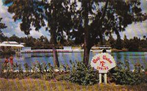 Florida Weeki Wachee Spring Of The Mermaids