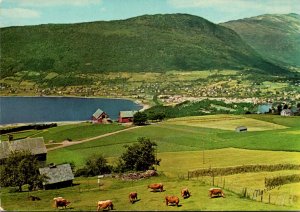 Norway Voss General View