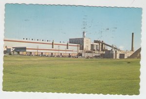 P3137 1970 postcard view railroad freight cars paper co. chandler quebec canada