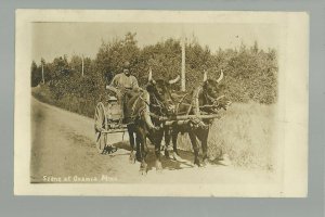 Onamia MINNESOTA RP 1911 COW CART Delivery Wagon nr Lake Mille Lacs Pierz Isle