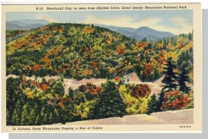 Smoky Mountains National Park,Postcard,North Carolina/NC-TN,Newfound Gap,Nr Mint