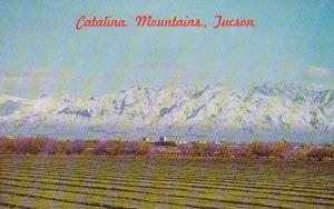 Arizona Tucson Catalina Mountains