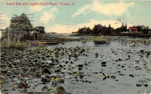 Toledo Ohio 1911 Postcard Lotus Bed and Lagoon Point Place