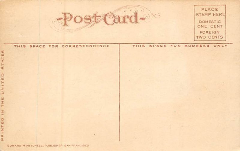 Mt. Shasta in Winter Shasta Springs CA