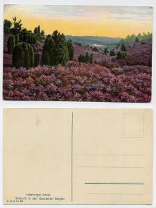 Postcard unused, Luneburger Heide